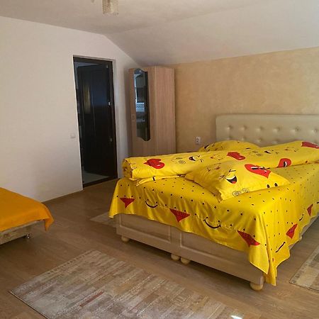 Pensiunea Casa Deny Novaci-Străini Buitenkant foto