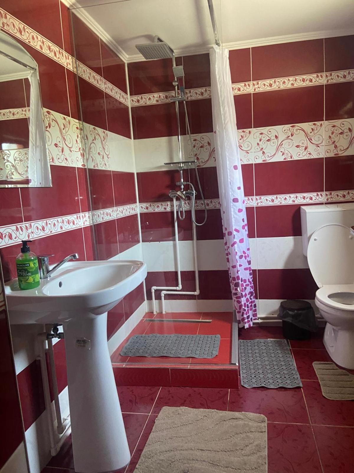 Pensiunea Casa Deny Novaci-Străini Buitenkant foto
